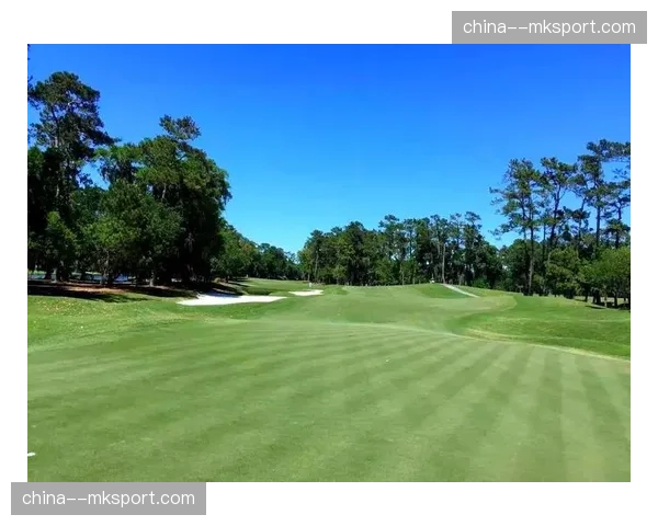 数据解读：为何TPC锯齿草球场17号岛型果岭的难度排名逐年下降