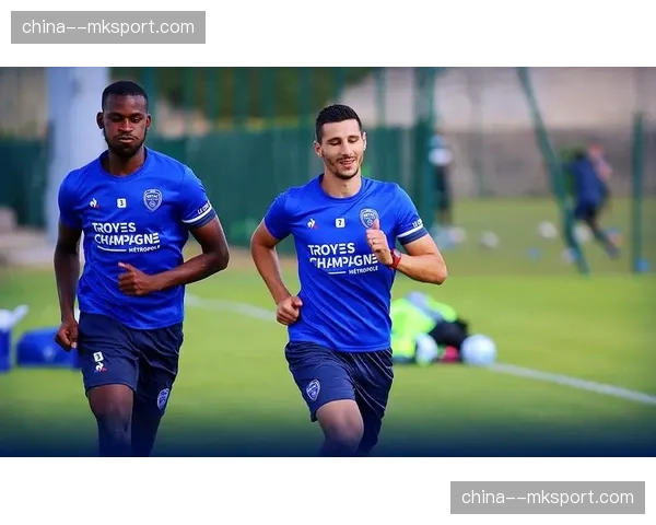 尼斯对阵勒阿弗尔赛前，主队球迷组织大规模TIFO展示支持球队保级